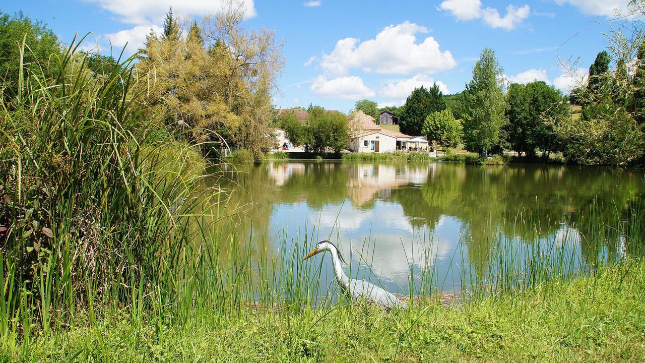 Le Domaine De L'Etang De Sandanet Issac Eksteriør bilde