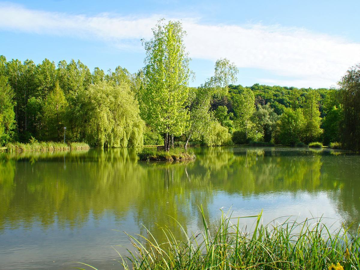 Le Domaine De L'Etang De Sandanet Issac Eksteriør bilde